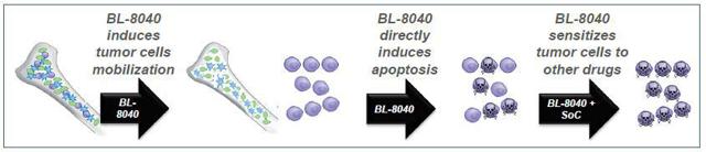 BL-8040 way of action