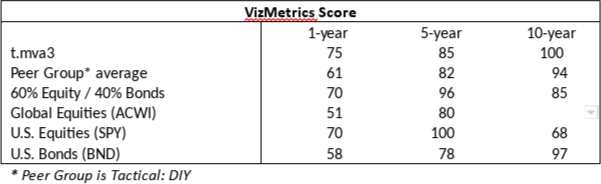 VizMetrics Score