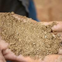 Hand-crushed sample of soft, oxidized, graphitic schist collected within the Coosa Graphite Project resource area