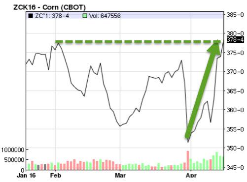 Corn 3 MO