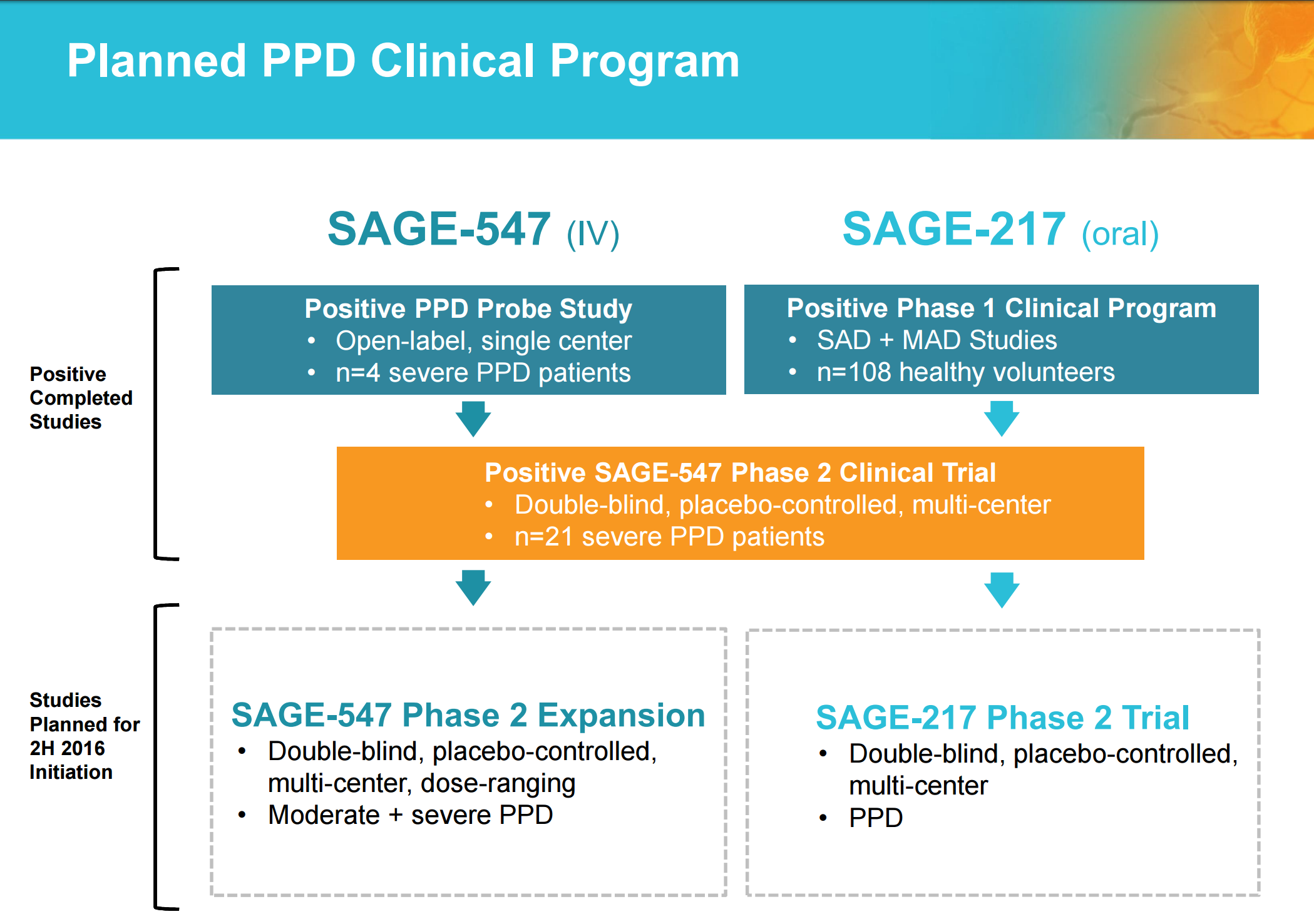 Sage Therapeutics What's Next? Sage Therapeutics (NASDAQSAGE